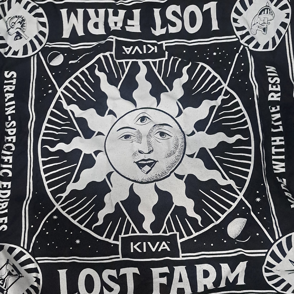 Black and White Sun Tapestry - Lost Farm Design
